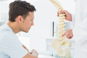Photo of a physiotherapist demonstrating the anatomy of the spine with a 3D model.